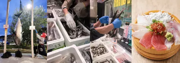 食べて、詰めて、引き上げて、出世魚でゲン担ぎ　シルバーウィークは漁港の駅TOTOCO小田原で「出世魚」だらけの「出世魚祭り」開催