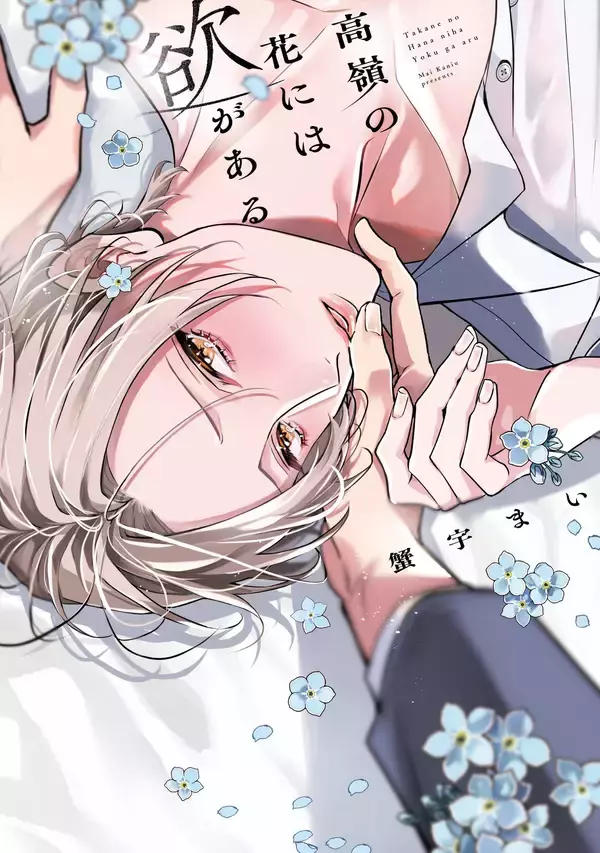 「BLアワード2026」LiQulleから4作品が受賞！「次に来る」部門3作、「ラブコメ」部門1作「次に来る」2位『高嶺の花には欲がある』ドラマCD化も決定！