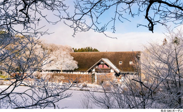 ROKKO森の音ミュージアムSIKIガーデンWinter Season冬に色変わりする木々と森の静寂を堪能する季節の到来2026年12月1日（火）～2027年2月28日（日）