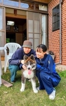 【秋田犬が地域の未来を救うかもしれない】秋田犬ドッグラン、6月1日のオープンを目指し、4月30日までクラウドファンディングを実施しています。