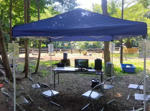 「和田堀公園で自然ふれあいイベント「和田堀まるごとミュージアム」を開催します【7月25日（土）】」の画像
