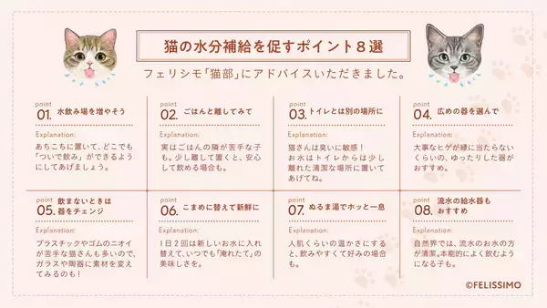 「猫の日に考える「猫と人のちょこちょこ飲み習慣」～コスモウォーター×フェリシモ「猫部」コラボキャンペーン実施～」の画像