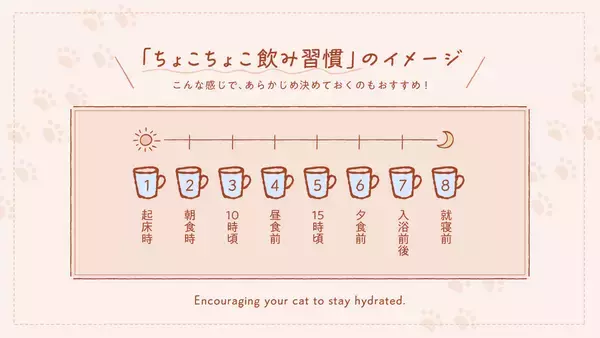 「猫の日に考える「猫と人のちょこちょこ飲み習慣」～コスモウォーター×フェリシモ「猫部」コラボキャンペーン実施～」の画像
