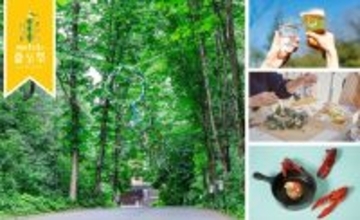 北欧の夏の風物詩「夏至祭」が今年もメッツァにやってくる！夏の訪れを祝う「メッツァの夏至祭2026」開催決定！