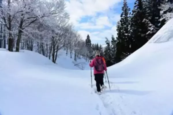 「冬にしか見られない一面の銀世界　魚沼市のおすすめ冬のスノーアクティビティ3選」の画像