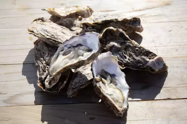 「【ラ・メゾン】福岡食材を愉しむ『ごちそうふくおかフェア』2月1日から開催！」の画像