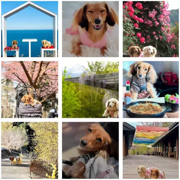 ペットツーリズム特化マーケティング企業・株式会社犬旅、「長野を代表する企業100選」に選出