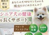 「ペットツーリズム特化マーケティング企業・株式会社犬旅、「長野を代表する企業100選」に選出」の画像4