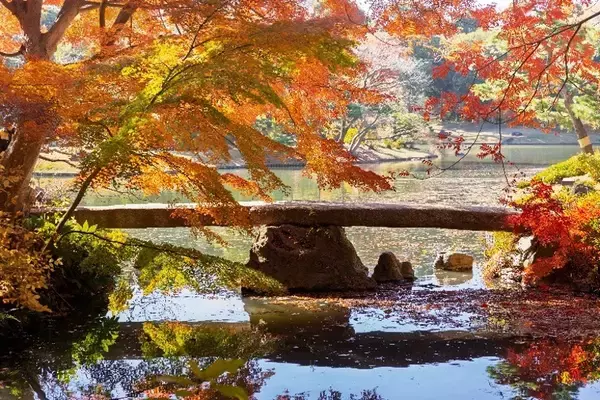 「【六義園】10月17日（土）～12月６日（日）開催秋の六義園～大名庭園で日本文化に親しもう～」の画像