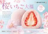 「【新商品情報｜2026年3月1日～16日まで限定】春を包んだ贅沢フルーツ大福が登場！静岡県産「大島桜」＆栃木県産「とちあいか」を使用した『桜いちご大福』限定販売」の画像3
