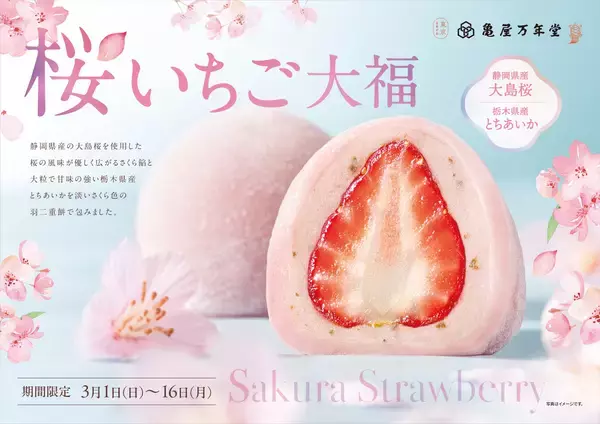 「【新商品情報｜2026年3月1日～16日まで限定】春を包んだ贅沢フルーツ大福が登場！静岡県産「大島桜」＆栃木県産「とちあいか」を使用した『桜いちご大福』限定販売」の画像