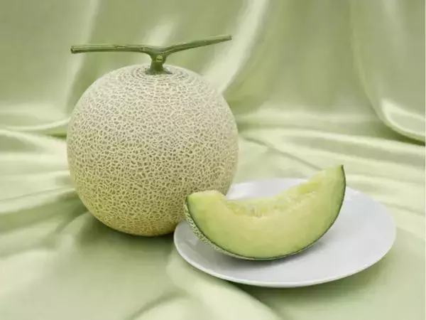 「GWは那須千本松牧場で"旬と体験"を一度に試食もできる栃木の旬メロンの販売や生産者マルシェ、猿まわしなど栃木の旬・人・文化を体感するGWイベント」の画像