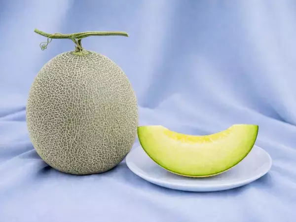 「GWは那須千本松牧場で"旬と体験"を一度に試食もできる栃木の旬メロンの販売や生産者マルシェ、猿まわしなど栃木の旬・人・文化を体感するGWイベント」の画像