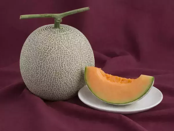 「GWは那須千本松牧場で"旬と体験"を一度に試食もできる栃木の旬メロンの販売や生産者マルシェ、猿まわしなど栃木の旬・人・文化を体感するGWイベント」の画像