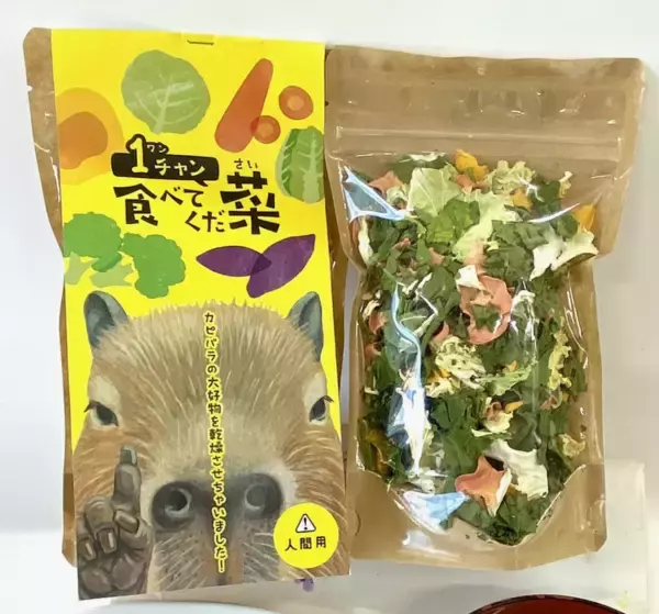 「カピバラの大好物の野菜をそのまま乾燥　赤ちゃん誕生で話題の竹島水族館に“人も食べられる”新土産が登場」の画像
