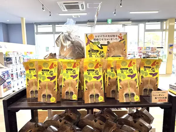 「カピバラの大好物の野菜をそのまま乾燥　赤ちゃん誕生で話題の竹島水族館に“人も食べられる”新土産が登場」の画像