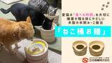 「愛猫の食べる時間を大切に「ねこ桶お膳」　「Makuake」にて販売開始！」の画像1
