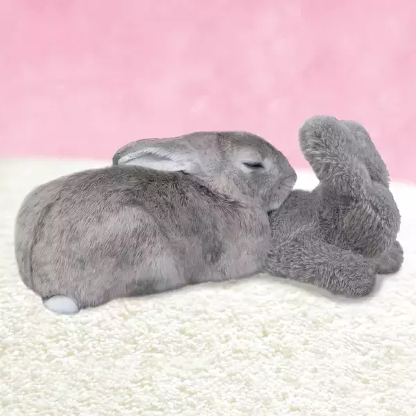 「ドギーマンハヤシの小動物ブランド「ミニアニマン」から　うさちゃん専用枕『うさぴた枕』が2月20日に発売！」の画像