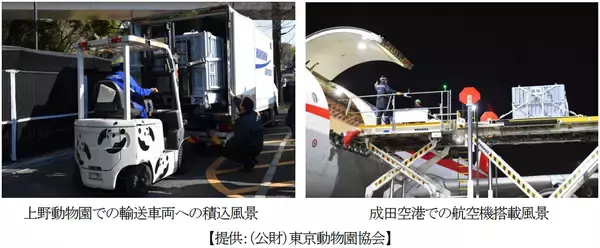 恩賜上野動物園から中国・四川省成都へシャオシャオ・レイレイの中国返還をサポートしました。