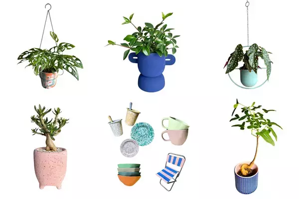 「植物と暮らしの雑貨店「GOOD LIFE STORE」が4月30日、公式オンラインショップをオープン。曳舟の実店舗で人気の一点物の植物やインテリア雑貨を全国へ」の画像