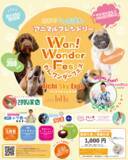 「東日本初出店！愛知県スカイエキスポで開催の　わんワンダーフェス＠アイチスカイエキスポに「わんこのおきゅう」で出展」の画像1