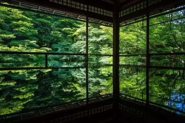 「叡山ケーブル・ロープウェイ ３月２０日（金・祝）運転スタート「叡山反景」をコンセプトに叡山ケーブル・ロープウェイともに内装デザインをリニューアル」の画像