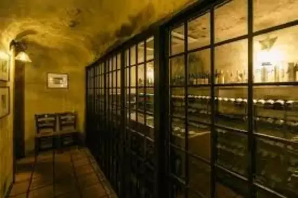 「『前菜からメインまで“すべてパスタ”～イタリア最高峰【マンチーニ】で構成する特別コース～』」の画像