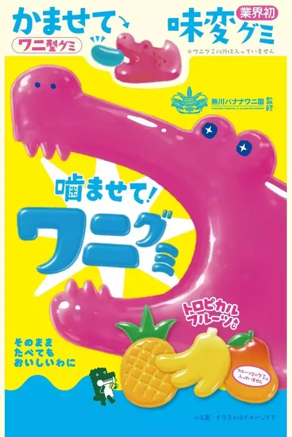 「熱川バナナワニ園監修「噛ませて！ワニグミ」ピンク色のトロピカルフルーツあじを9月3日に新発売」の画像