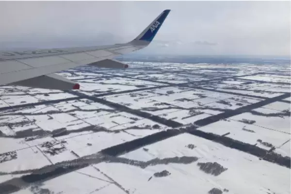 「「宇宙から見える森」の謎を解け！北海道・格子状防風林の価値を未来へ繋ぐ、専門家対談番組制作のクラウドファンディングを開始」の画像