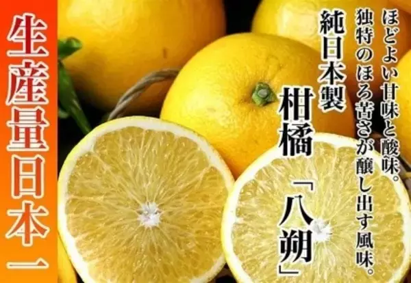 「ＪＡタウンのショップ「和歌山県 ココ・カラ。和歌山マルシェ」で 「新春お年玉キャンペーン」を開催！」の画像