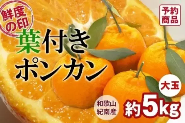 「ＪＡタウンのショップ「和歌山県 ココ・カラ。和歌山マルシェ」で 「新春お年玉キャンペーン」を開催！」の画像