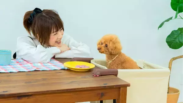「食事中の“抱っこ負担”を軽減。愛犬・愛猫のための『肉球アームのペットチェア　Chocorin』誕生」の画像