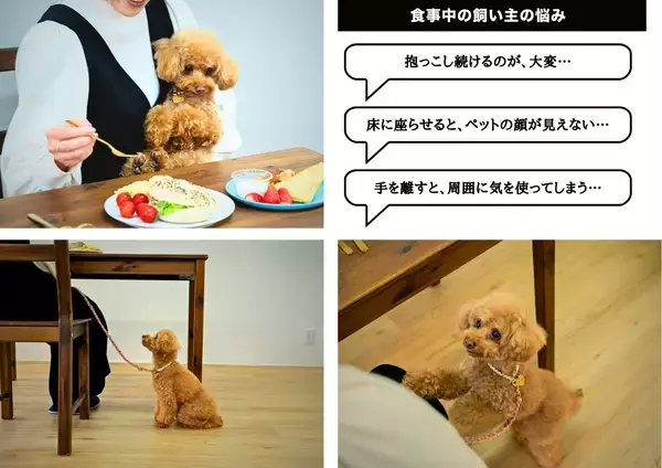 「食事中の“抱っこ負担”を軽減。愛犬・愛猫のための『肉球アームのペットチェア　Chocorin』誕生」の画像