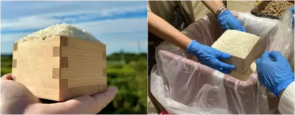 「京葉道路幕張PA 房総・村の駅　行列のできる大好評イベントを1月17日より開催！お米＆さや煎落花生の“盛り放題×詰め放題祭り”など！」の画像