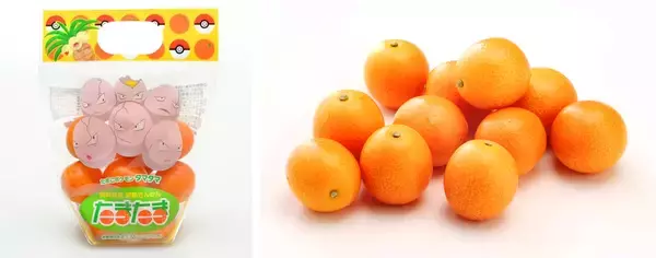 「「宮崎だいすきポケモン」ナッシーが2月7日(土)・8日(日) 「新宿みやざき館KONNE」に登場　完熟きんかんたまたまナッシーVer.をはじめ、ナッシーコラボ商品を販売します！」の画像