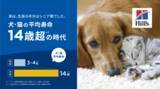 「～ヒルズ：ペットの健康のために最先端の栄養科学を届けて50年目～　昭和・平成・令和で見る“ペットと人の関係史”平均寿命14歳超(*1)。」の画像1