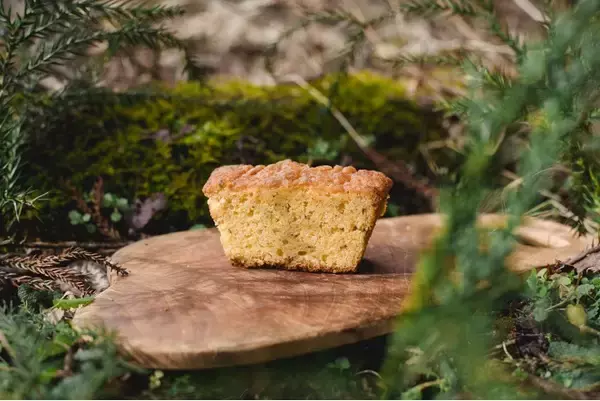 mozo ワンダーシティ「根羽の木のパウンドケーキ」配布イベント開催― 食べることで、森とつながる mozo action ―