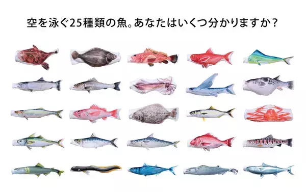 創業79年の鯉のぼりメーカーが空間演出へ立体ディスプレイ「のぼり水族館」に新たに20種類を追加