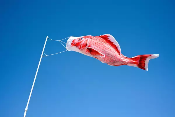 「創業79年の鯉のぼりメーカーが空間演出へ立体ディスプレイ「のぼり水族館」に新たに20種類を追加」の画像