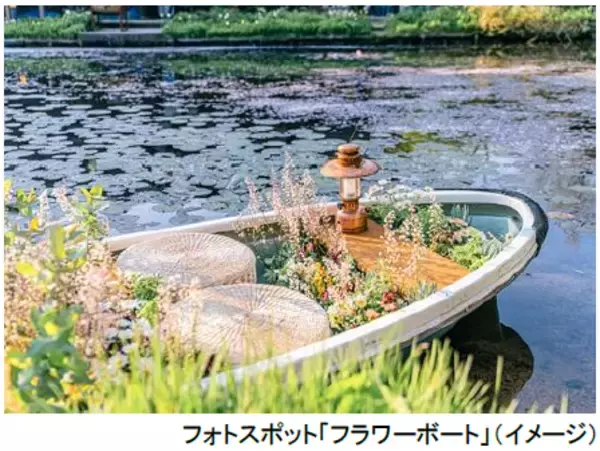 「ROKKO森の音ミュージアム神戸市街地より-5度の避暑地体験「ROKKO山涼みフェス2026」開催2026年7月18日（土）～20日（月・祝）」の画像