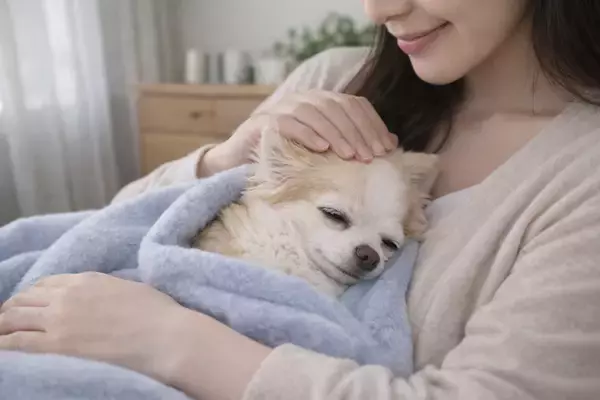 「高齢化が進むペット介護に「音のケア」という新たな選択肢　病気療養中のペットと飼い主を支えるオンラインプログラムを2026年4月開始」の画像