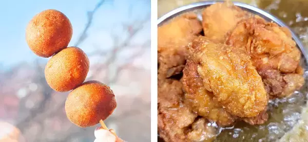 「【行列のできる北海道発ベーカリーが岐阜県・可児市に！】ペンギンベーカリー可児広見店　2026年４月10日(金)オープン」の画像