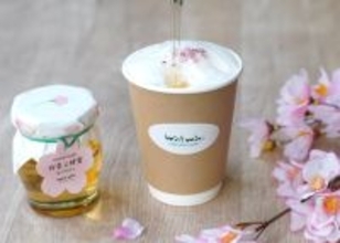 桜フェアに合わせて春限定カフェメニュー登場　ミールミィ三条本店にて、桜香る蜂蜜スイーツ＆ドリンクを期間限定販売
