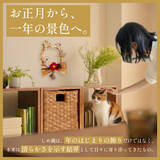「昨年末に即完売した猫型しめ縄『しめニャわ』が猫の日2月22日に再販決定！「お正月飾り」から「愛猫の健康を願う通年のお守り」へ」の画像3