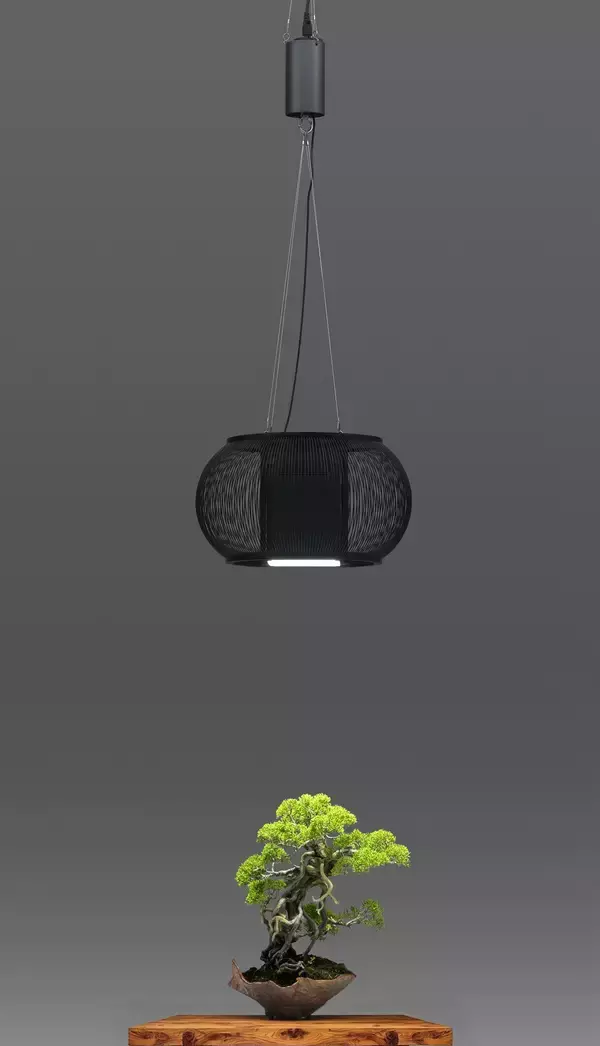 盆栽をアートなインテリアに