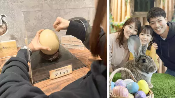 「「春の動物お花見フェス開催！」　次世代都市型ふれあい動物園「Animeal(アニミル)」にて季節限定の体験型イベントを実施します！」の画像