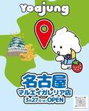 「東海エリア初上陸！韓国発のフローズンヨーグルト『Yoajung(ヨアジョン)』名古屋 栄 マルエイガレリアに3月27日(金)オープン」の画像1