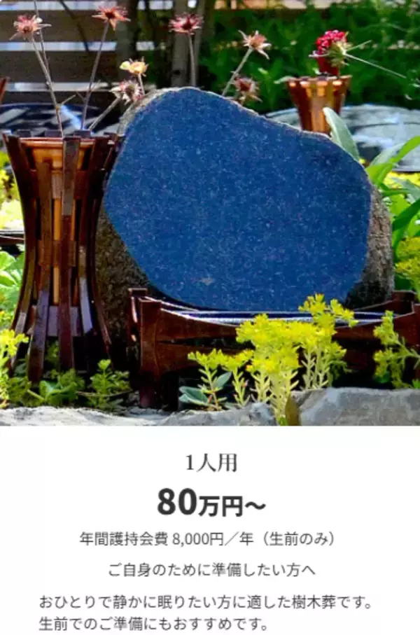「【グランドオープン】東京都多摩市に樹木葬　『多摩さくら庭苑』開苑　遺された人・旅立つ人の負担をなくす新しい祈りのカタチを」の画像