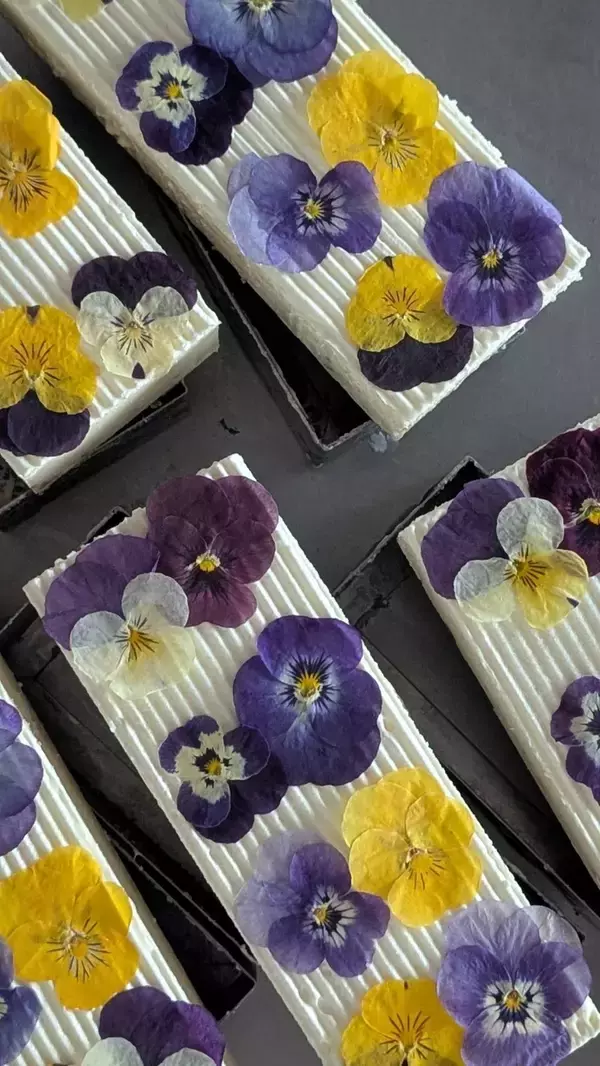 「お中元・サマーギフトにぴったり！ヘルシーで見た目もかわいい「ビオラ＆果物のレアチーズケーキ」7月より販促強化を実施」の画像