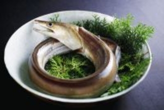 淡路島の源泉かけ流し温泉旅館「洗心和方」鱧尽くしの贅沢なひと時　夏季限定 淡路島産『鱧コースプラン』6月1日より提供開始